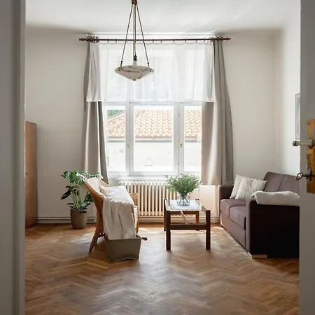 Authentically Stylish With A Mystical View Golem Apartamento Praga